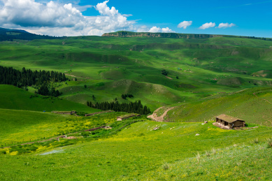 中国新疆喀拉峻草原和琼库什台风光