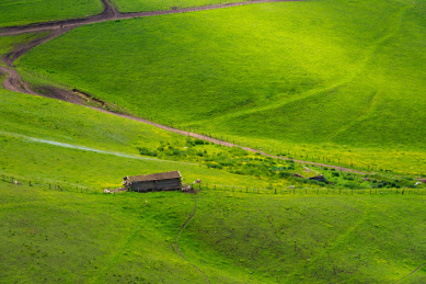 中国新疆喀拉峻草原和琼库什台风光