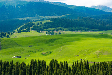 中国新疆喀拉峻草原和琼库什台风光