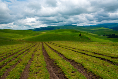 中国新疆喀拉峻草原和琼库什台的夏季风光