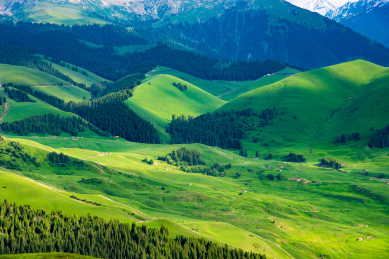 中国新疆喀拉峻草原和琼库什台的夏季风光