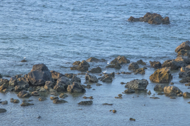 中国海南儋州峨蔓龙门山阳光下的岩石与海