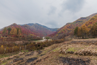 辽宁抚顺猴石国家公园秋季自然风光