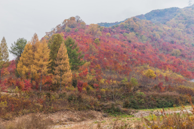 辽宁抚顺猴石国家公园秋季自然风光