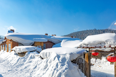 冬季中国黑龙江海林雪乡国家森林公园雪景