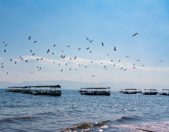 云南昆明抚仙湖湖畔自然风光