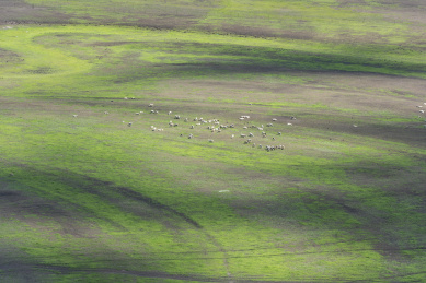 内蒙古呼伦贝尔草原风光