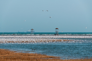 中国河北省秦皇岛市北戴河自然风光