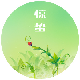 红色的瓢虫落在滴着露水的发芽嫩叶上