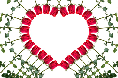 红玫瑰花拼成的爱心