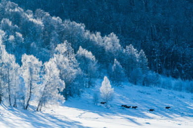 中国新疆禾木村