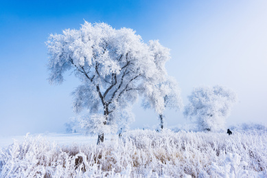 吉林雾凇岛