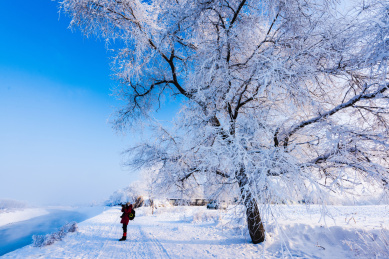 吉林雾凇岛