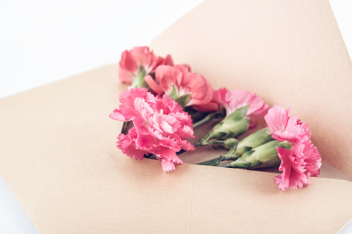 母亲节祝福贺卡和康乃馨花朵 