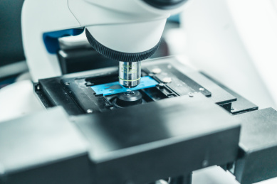 显微镜物镜与载玻片标本特写