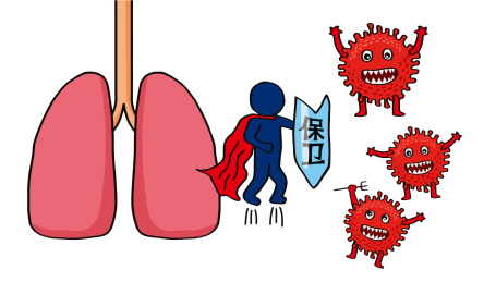 新型冠状病毒，保护肺卡通手绘插画