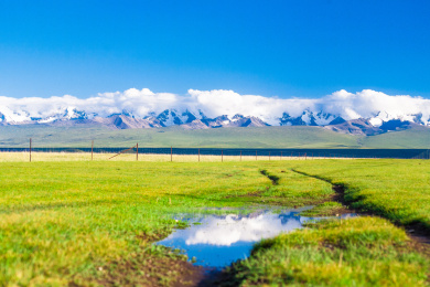 中国新疆巴音布鲁克草原的车辙与水坑