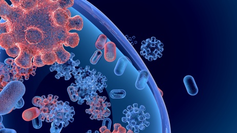 新型冠状病毒肺部传染3D概念场景