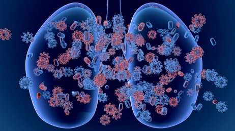 新型冠状病毒肺部传染3D概念场景