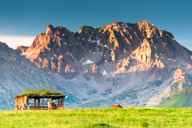 中国新疆唐布拉草原高山牧场