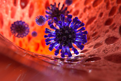 三维渲染的人体内的冠状病毒