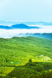 中国四川省宜宾市长宁县蜀南竹海风景区