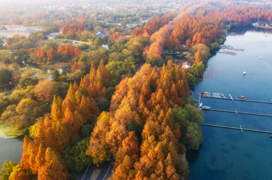 浙江杭州西湖秋季风景