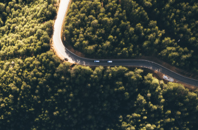 云南丽江泸沽湖海鸥与地貌