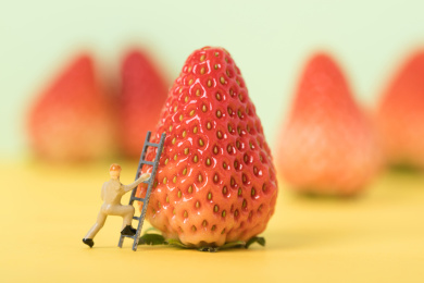 工人沙盘人偶攀登草莓山