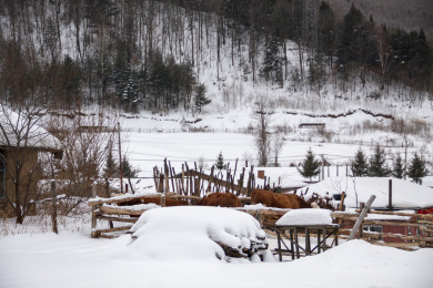 中国黑龙江五常市山河屯林业局雪谷村庄景象