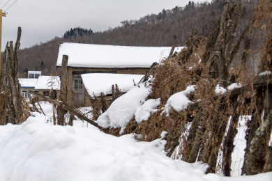 中国黑龙江五常市山河屯林业局雪谷村庄景象