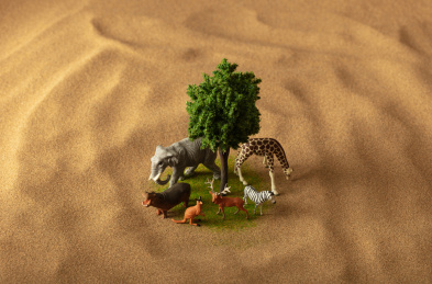 沙漠绿洲野生动物的生存空间