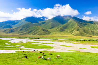 中国新疆巴音布鲁克草原夏季景观