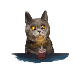 看着蜡烛表情搞笑的猫