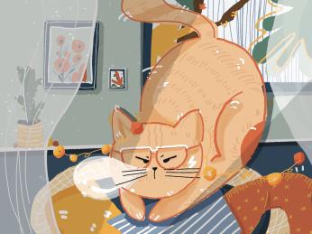 一只在房间里打瞌睡的猫