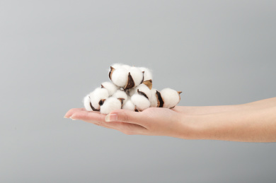 放在手掌上的一朵棉花