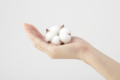 放在手掌上的一朵棉花