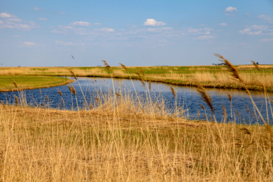 黑龙江齐齐哈尔扎龙自然保护区