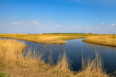 黑龙江齐齐哈尔扎龙自然保护区