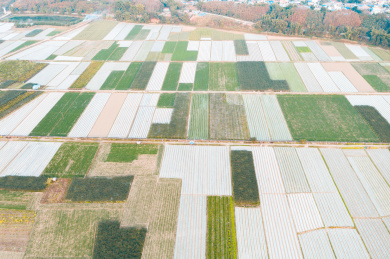 云南省德宏州农村农田航拍风光