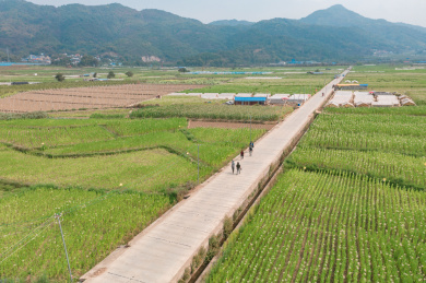 云南省德宏州农村农田航拍风光