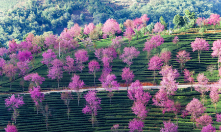 云南普洱景东无量山风光