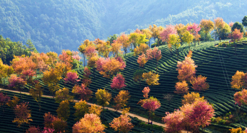 云南普洱景东无量山风光