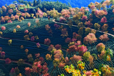 云南普洱景东无量山风光