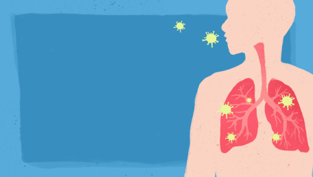 人体肺部剖析图无字横图