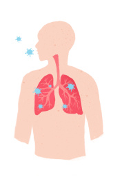 人体肺部剖析图与肺炎呼吸道感染纯背景