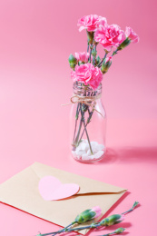 放在粉色背景上的牛皮信封和粉色康乃馨