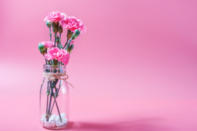 放在玻璃瓶里的一束粉色康乃馨