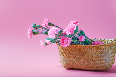 放在竹篮里的一束粉色康乃馨