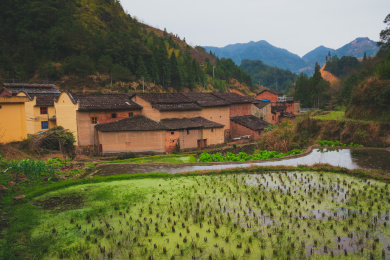 福建宁德周宁县礼门乡常源古村